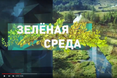Как следят за качеством воды в Беларуси