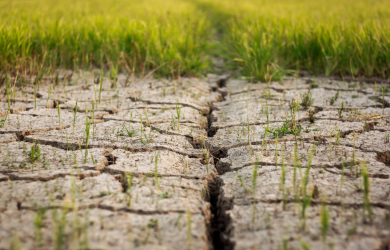 О некоторых вопросах рационального использования земель и предотвращении их деградации