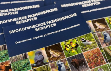 Конференция по ЦУР 15 прошла в г. Воложине