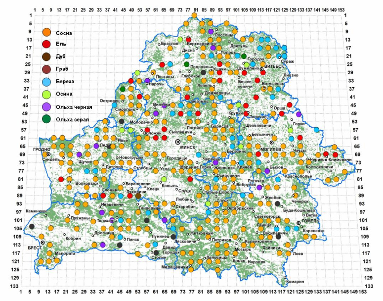 Пункты наблюдений мониторинга состояния лесов